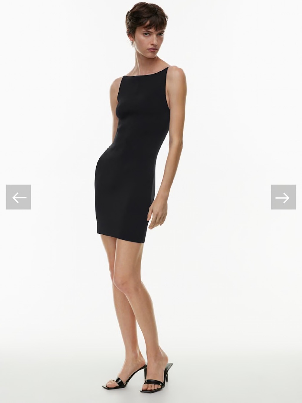 Aritzia Babaton Eminence Dress